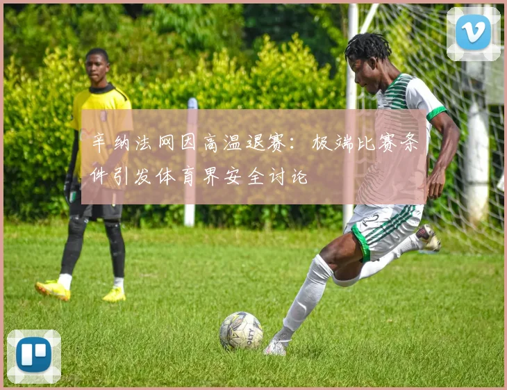 辛纳法网因高温退赛:极端比赛条件引发体育界安全讨论