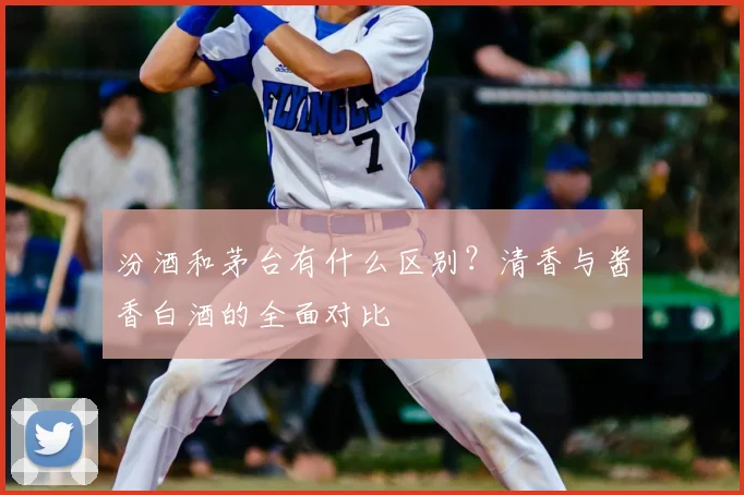 汾酒和茅台有什么区别？清香与酱香白酒的全面对比